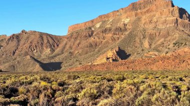 Kurak bir arazide canlı bitki örtüsüyle bezenmiş engebeli kayalık kayalıkların büyüleyici manzarasını deneyimleyin.