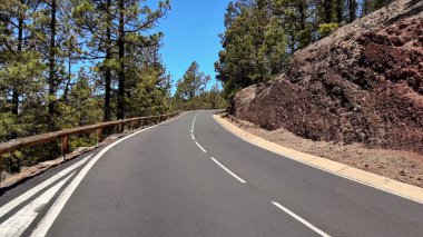 Doğada şaşırtıcı derecede güzel, dolambaçlı bir yol, muhteşem çerçeveli yüksek ağaçlar ve etkileyici kayalıklar