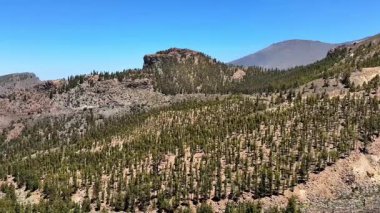 Sersemletici çam ormanlarını ve dağları keşfedin açık mavi gökyüzü altında, rahatlama ve macera için mükemmel