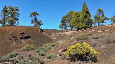 Parlak mavi gökyüzünün altında eşsiz bir arazi ve canlı yeşillikle çarpıcı volkanik bir manzara keşfedin.