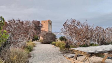 Sonsuz denize bakan, güzel doğayla çevrili muhteşem bir kuleye giden sakin bir yol keşfet.