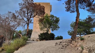 Bereketli ağaçlarla çevrili zarif bir kule ve canlı mavi bir gökyüzü, doğa severler ve güzellik hayranları için ideal.