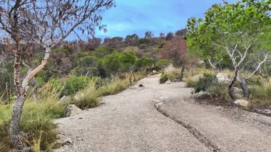 Bereketli yeşillik ve engebeli kayalık arazide esen huzurlu bir patikada sakin bir gezinti yap.