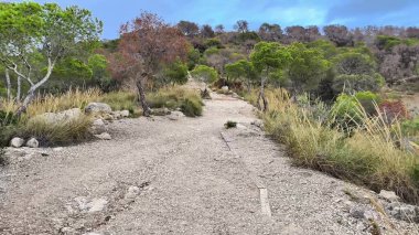 Bereketli yeşilliklerle çevrili huzurlu bir yol. Açık hava aktiviteleri ve doğa meraklıları için ideal.