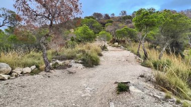 Canlı yeşilliklerle çevrili sakin ve sakin bir yol açık hava maceraları ve aktiviteleri için gerçekten mükemmel.