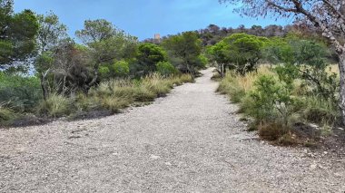 Güzel, dingin bir yol. Canlı yeşillikler arasında yavaşça dönüyor. Yürüyüş ve keşif için mükemmel.
