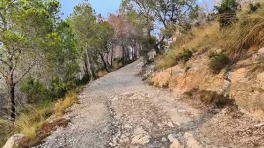 Bu dolambaçlı çakıl yolu boyunca, yemyeşil ve çarpıcı doğal manzarayla çevrili bir maceraya atılın.