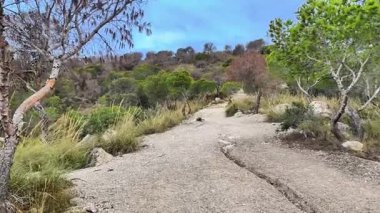 Bereketli yeşillik ve engebeli kayalık arazide esen huzurlu bir patikada sakin bir gezinti yap.