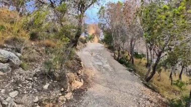 Bereketli ağaçlarla çevrili güzel bir dolambaçlı yol ve manzara manzarası, keşif ve macera için ideal.