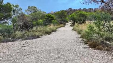 Güzel, dingin bir yol. Canlı yeşillikler arasında yavaşça dönüyor. Yürüyüş ve keşif için mükemmel.