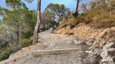 Güzel ağaçlarla çevrili kayalık bir patika boyunca bir maceraya atılmak, yürüyüş ve açık hava aktiviteleri için idealdir.