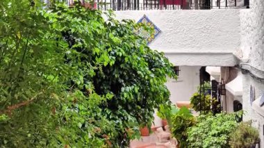 Video, yeşil, canlı bitkilerle çevrili, büyüleyici bir balkona sahip, dingin, beyaz bir bina ve sakin, işlenmiş demir bir çit içeriyor.