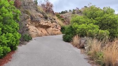 Sarmal bir dağ yolunda sakin bir yolculuk başlar. Ağaçlar ve kayalar yemyeşil ve canlı çalıların arasında güzel bir zemin oluşturur.