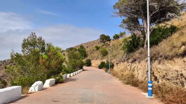 Bereketli ağaçlarla çevrili sakin bir tepede dolambaçlı bir yolda manzaralı bir yolculuk. Video, macera ve sükuneti çağrıştıran projeler için ideal barışçıl bir doğa inzivasına işaret ediyor.