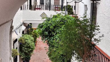 Bu büyüleyici videoda, sakin bir avluya bakan bir balkondan başlayıp verimli bir ara sokağa dönüşen şehir yaşamının cazibesini keşfedin.