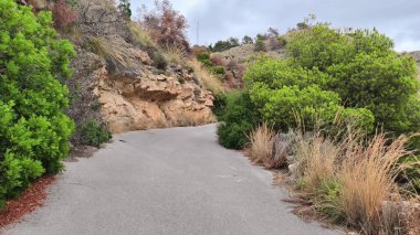 Sarmal bir dağ yolunda sakin bir yolculuk başlar. Ağaçlar ve kayalar yemyeşil ve canlı çalıların arasında güzel bir zemin oluşturur.
