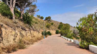 Bu video bereketli yeşillik ve ağaçlarla çevrili, dolambaçlı bir yolda sakin bir yolculuk içeriyor, doğada macera ve sükunet sunuyor.