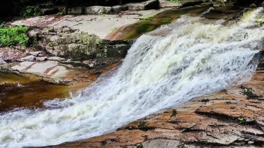 Büyüleyici bir şelale, canlı ve gür doğal yapraklarla sarmalanmış engebeli taşların üzerine nazikçe dökülür.