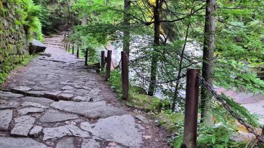 Huzurlu bir taş yolu keşfet. Güzel bir şekilde yükselen ağaçlarla kaplı. Nazikçe akan bir nehrin yanında.