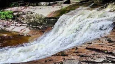 Büyüleyici bir şelale, canlı ve gür doğal yapraklarla sarmalanmış engebeli taşların üzerine nazikçe dökülür.