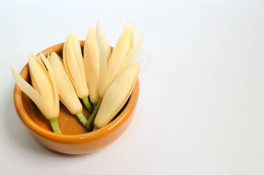 Beyaz zemin üzerinde beyaz seramik kâse içinde taze beyaz çiçeğin minimalist yatay fotoğrafı ve sağda yazı için yer var. Tasarım, sağlık ve rahatlama temaları için doğal koku ve zarif Asya spa stili.