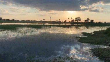 Karanlık çöktüğünde Okavango Deltası 'nın panoramik görüntüsü.