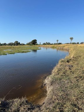Sandibe, Botswana 'dan Okavango Delta Panorama' nın kalıcı Chanel manzarası