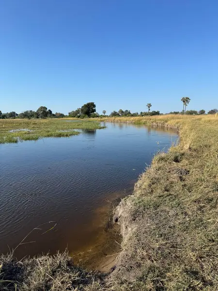 Sandibe, Botswana 'dan Okavango Delta Panorama' nın kalıcı Chanel manzarası