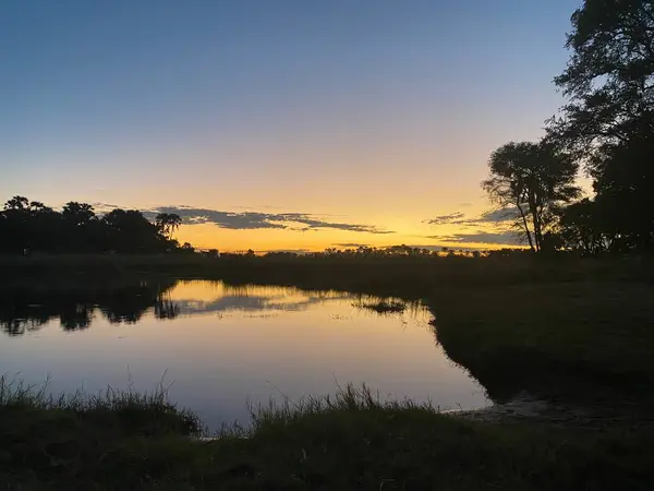 Okavango Deltası 'nın günbatımında, Sandibe, Botswana' da panoramik çekimi.