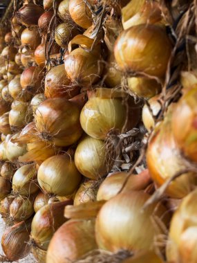 Mükemmel Rustik Soğan Çubuğu