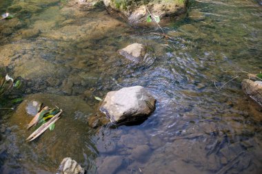 Sığ, berrak bir derenin yakın görüntüsü yumuşak taşların ve dağınık yaprakların üzerinden akan yumuşak dalgalar doğal tatlı suyun huzurlu dokusunu yakalıyor..