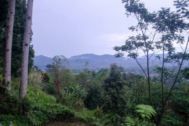 Ön planda yoğun tropikal bitki örtüsü, ağaç gövdeleri ve dağınık köy çatıları ile soluk, bulutlu bir gökyüzü altında görünür sisli dağlık bir manzara çerçeveler.