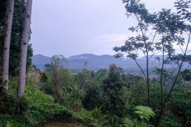 Ön planda yoğun tropikal bitki örtüsü, ağaç gövdeleri ve dağınık köy çatıları ile soluk, bulutlu bir gökyüzü altında görünür sisli dağlık bir manzara çerçeveler.