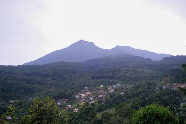 Üssünde küçük bir köy olan yemyeşil bir orman vadisi alacakaranlıkta hafif aydınlatılmış, bulutlu bir gökyüzüne karşı gölgelenmiş görkemli bir dağ sırasına doğru uzanır..