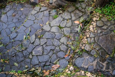 Düzensiz koyu taşlardan yapılmış, yosun ve dağınık yapraklardan oluşan, doğal dokuyu ve yağmurdan sonra organik tasarımı gösteren ıslak bir taş yolunun yakın çekimi..