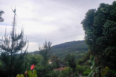 Çam ve geniş yapraklı ağaçlarla kaplı yemyeşil yamaçlar bulutlu bir gökyüzünün altında, çatılar yaprakların arasından süzülerek doğal ve sakin bir karışım oluşturuyor..