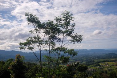 Parlak bir gökyüzünün altında dağınık kırsal evleri ve uzak tepeleri olan yeşil bir vadinin canlı bir görüntüsü. Önplanda kısmen uzun, yapraklı ağaçlar var..