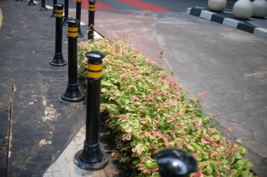Sarı çizgili bir sıra siyah kalın çizgi düzgün bakımlı pembe ve yeşil yapraklı bir çitin yanında bir kaldırım çizgisi. Yol, dekoratif beton kürelerle çevrili kırmızı boyalı bir yol kavşağına doğru kıvrılıyor..