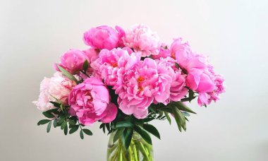 Şakayık Buketi izole et. Pembe şakayık çiçekleri. Beyaz arka planda büyük bir şakayık çiçeği. Güzel pembe şakayık ve yeşil. Makro çiçekler. Beyaz arka planda vazoda pembe şakayık demeti, büyük şakayık desenleri pembe renkler ve karttaki yeşil pistaj.