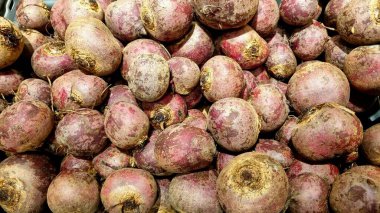 Pazarlama için genç bir pancar kökü. Mağaza için taze pancar kökü temiz, düzgün beslenme, sebze ve vitaminlerdir..