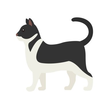 ayakta duran kedi hayvan emojisi sembolü simge vektör illüstrasyon smokin