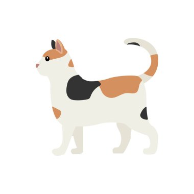 ayakta duran kedi hayvan emojisi sembolü simge vektör illüstrasyon tekby