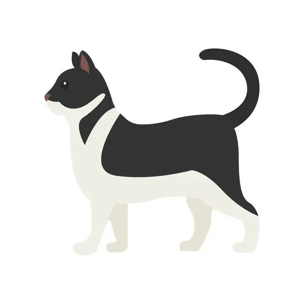 ayakta duran kedi hayvan emojisi sembolü simge vektör illüstrasyon smokin