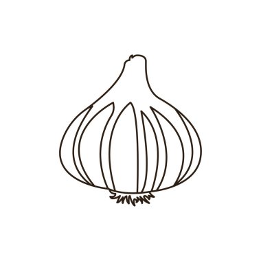 Sarımsaklı soğan ve sebze sembolü simge vektör çizimi izole edildi.