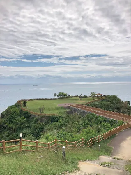 Japonya 'nın Okinawa kentindeki bir sahil parkında eğri bir ahşap yürüyüş yolu, yemyeşil çimenler ve deniz manzarası için sakin bir ortam sunuluyor..