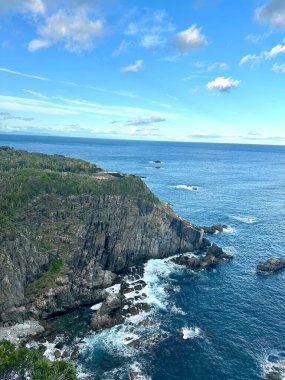 Ashizuri Burnu 'nda Kayalıklar ve Okyanus Manzarası