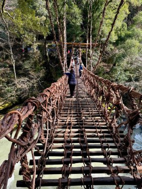 Tokushima, Japonya 29 Mart 2024: Ziyaretçiler Iya Vadisi 'ndeki Kazurabashi asma köprüsünü geçtiler..