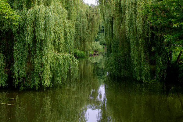 the small lake in the city of ternopil, ukraine