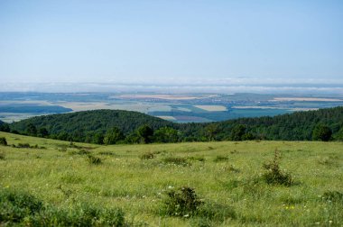 Bulgaristan 'da ağaçlar ve bulutlarla kaplı dağ manzarası