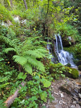 Bulgaristan 'ın Bansko kentindeki dağlarda küçük bir şelale